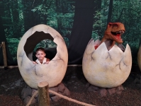 img_20231206_143748834-kopiowanie-jpg1706636672